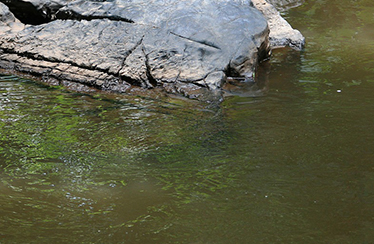Stenar i vatten. Foto: Pixabay.